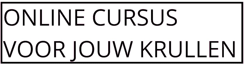 Online Cursus voor jouw Krullen